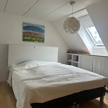 Townhouse With Free Parking アパート オールボー
